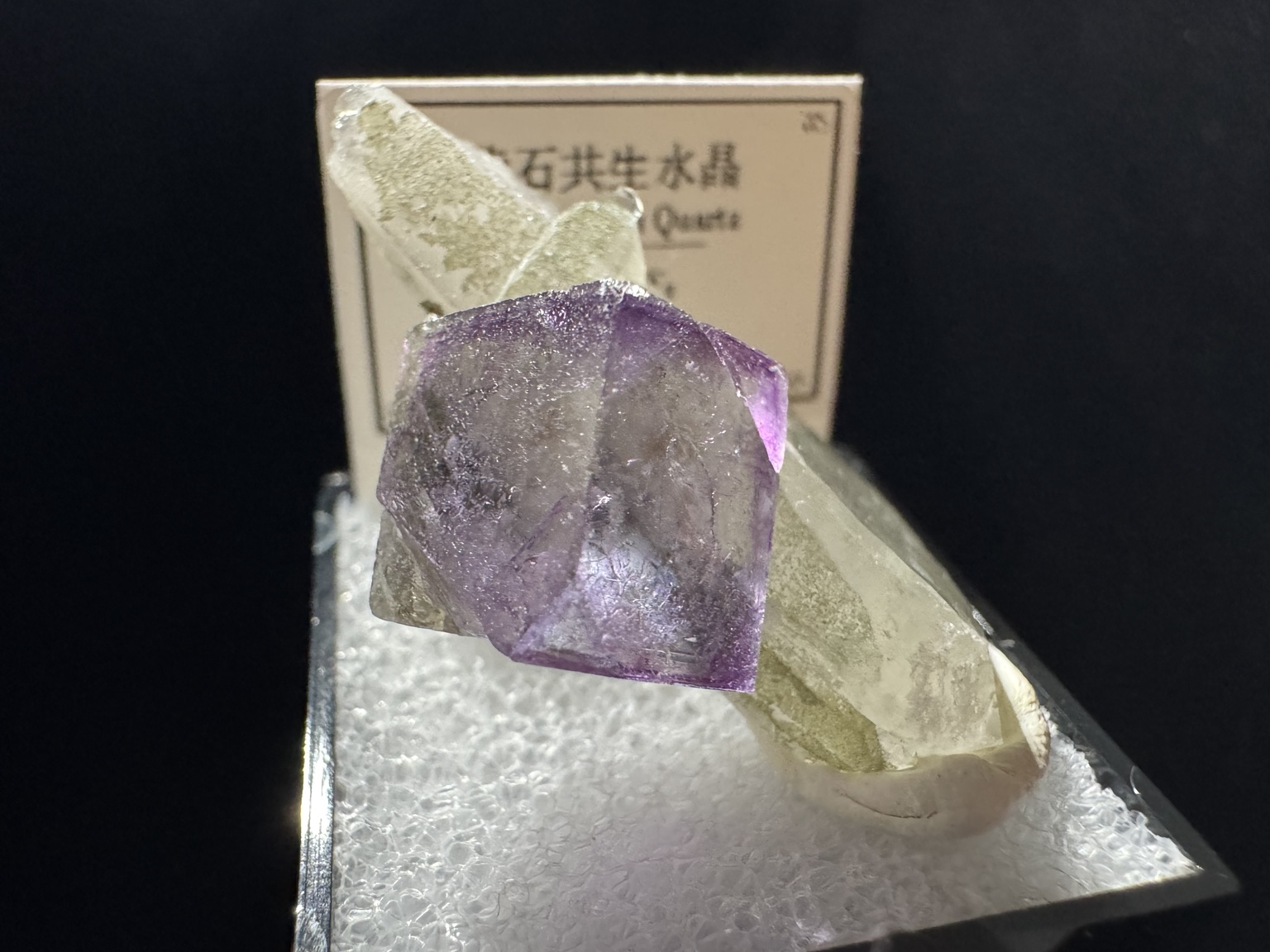 标本 01 正面近景