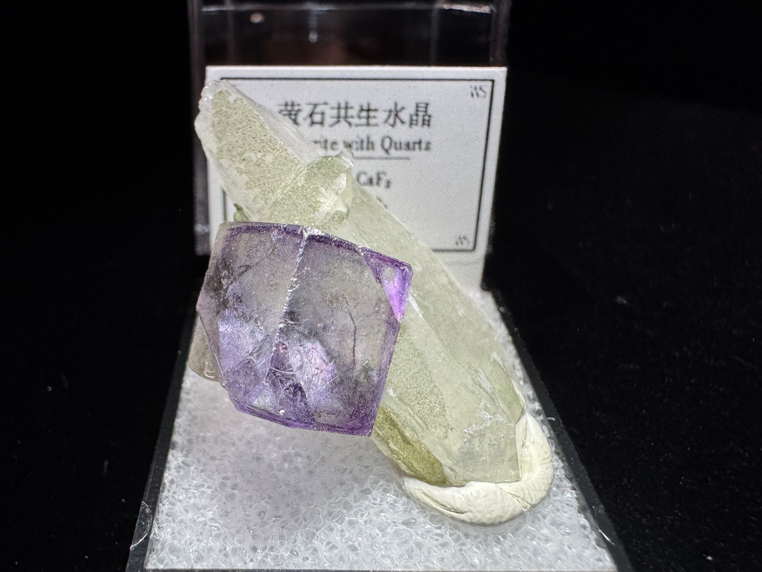 标本 01 全貌